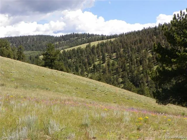 none 33HH Saguache, CO 81149