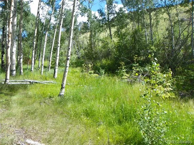 none 33HH Saguache, CO 81149
