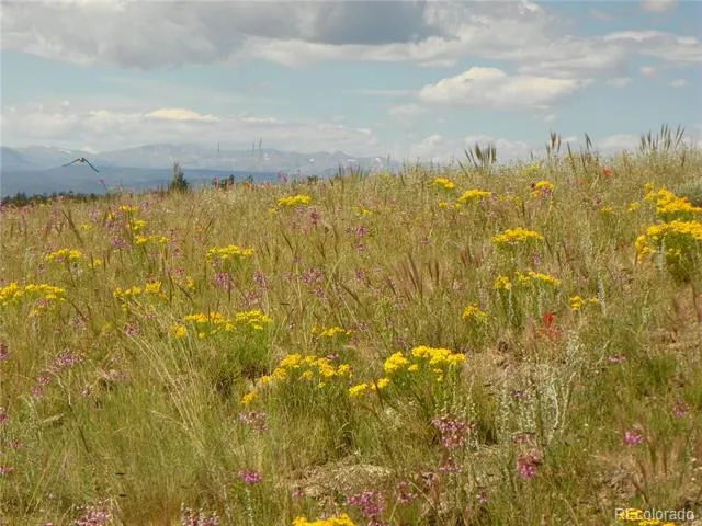 none 33HH Saguache, CO 81149