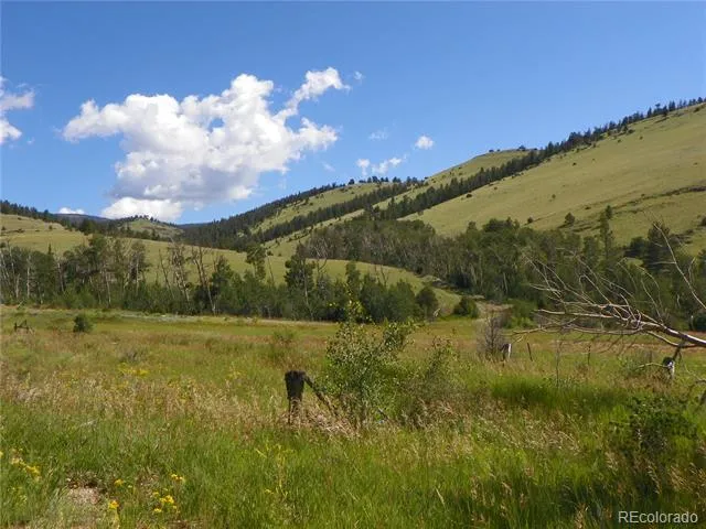 none 33HH Saguache, CO 81149