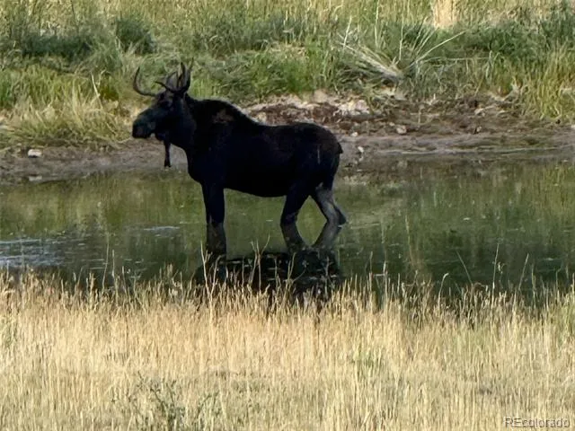none 33HH Saguache, CO 81149
