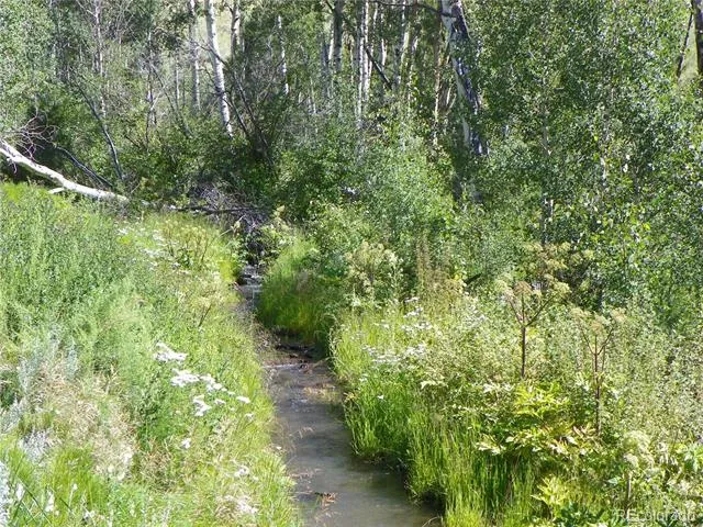 none 33HH Saguache, CO 81149