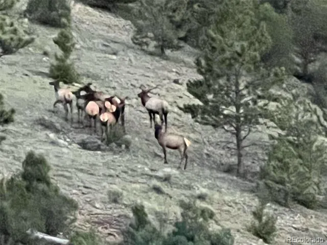 none 33HH Saguache, CO 81149