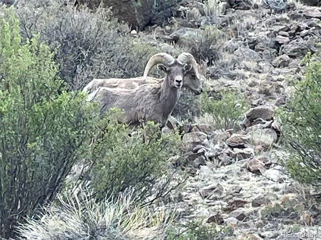none 33HH Saguache, CO 81149