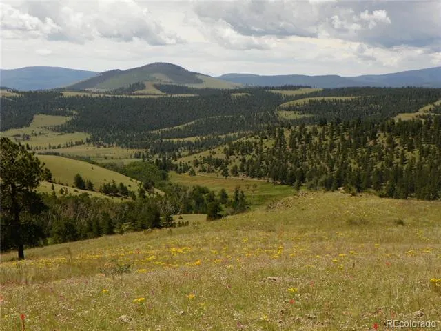 none 33HH Saguache, CO 81149