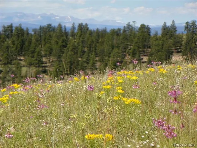 none 33HH Saguache, CO 81149
