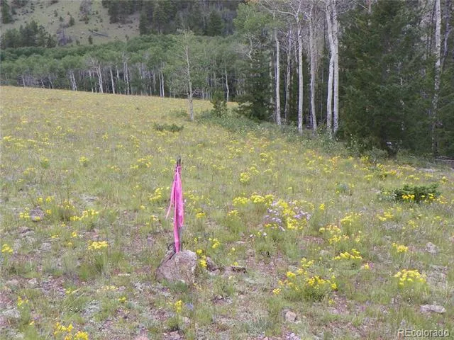 none 33HH Saguache, CO 81149