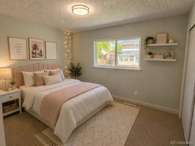 12914 Dexter Way Thornton, CO 80241