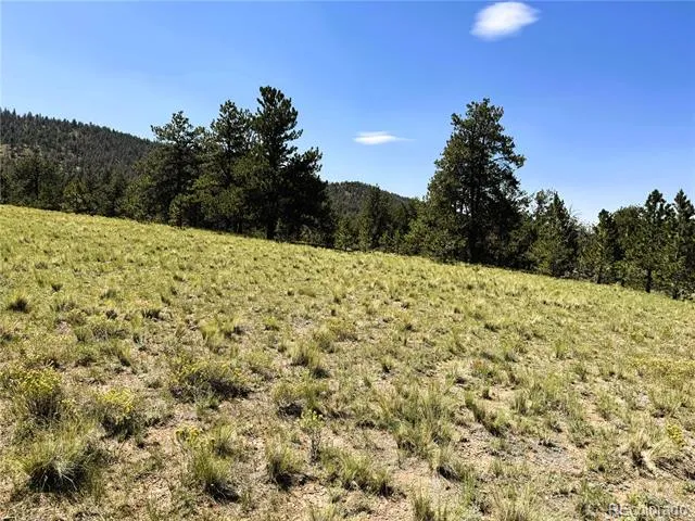 127 Boulder Road Hartsel, CO 80449
