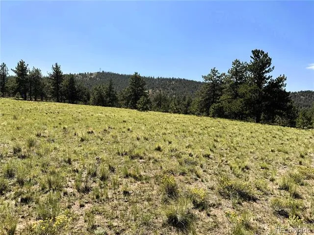 127 Boulder Road Hartsel, CO 80449