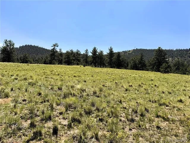 127 Boulder Road Hartsel, CO 80449