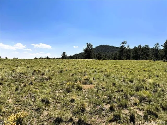127 Boulder Road Hartsel, CO 80449