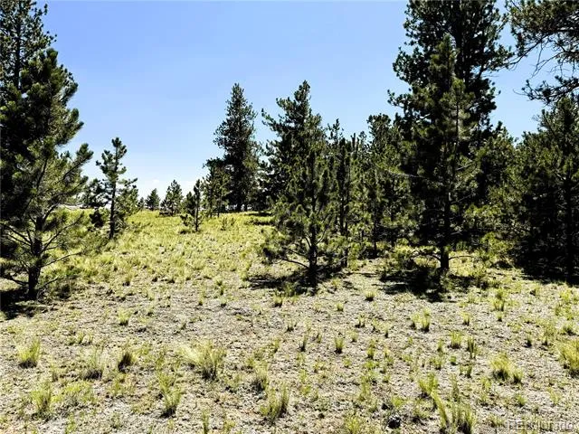 127 Boulder Road Hartsel, CO 80449