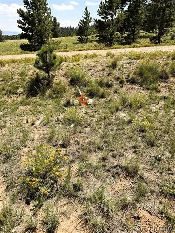 127 Boulder Road Hartsel, CO 80449