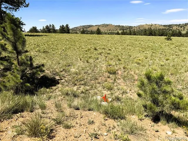 127 Boulder Road Hartsel, CO 80449