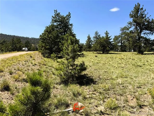 127 Boulder Road Hartsel, CO 80449