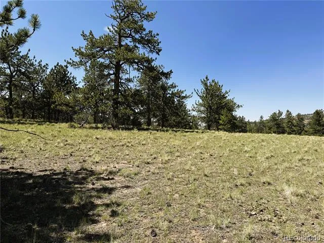 127 Boulder Road Hartsel, CO 80449