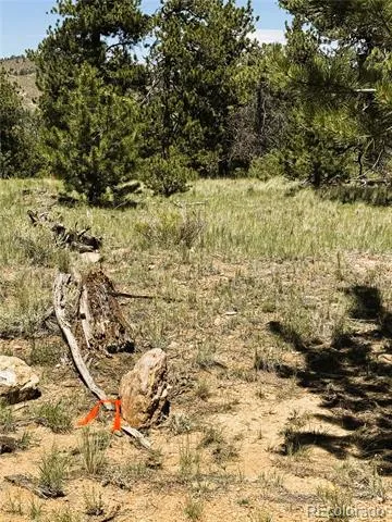 127 Boulder Road Hartsel, CO 80449