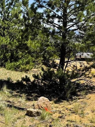 127 Boulder Road Hartsel, CO 80449
