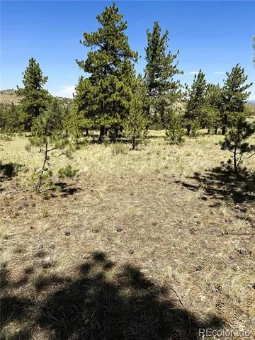 127 Boulder Road Hartsel, CO 80449