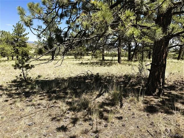127 Boulder Road Hartsel, CO 80449