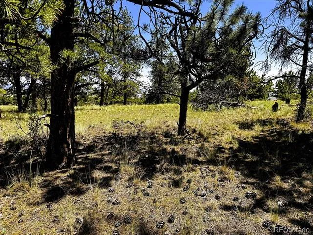127 Boulder Road Hartsel, CO 80449