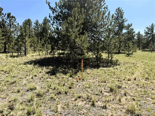 127 Boulder Road Hartsel, CO 80449
