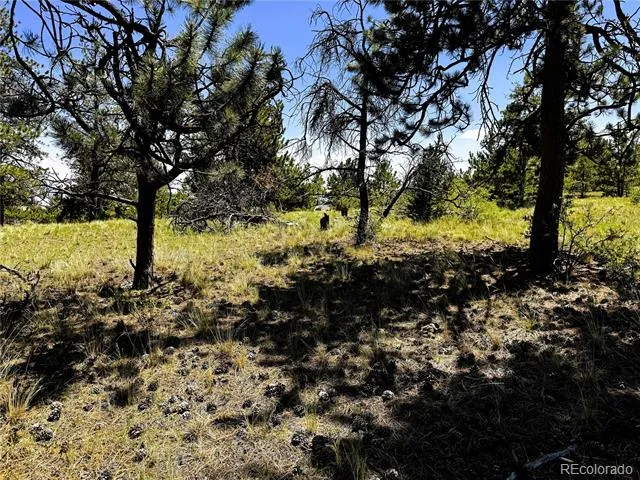 127 Boulder Road Hartsel, CO 80449