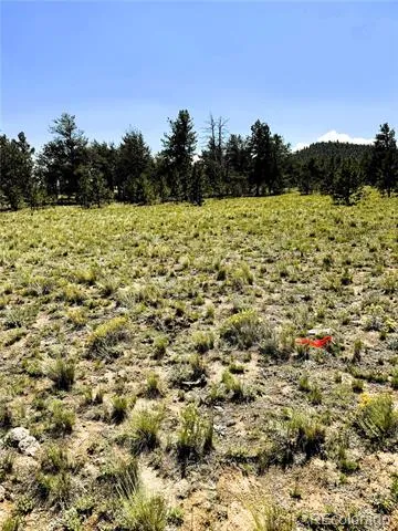 127 Boulder Road Hartsel, CO 80449