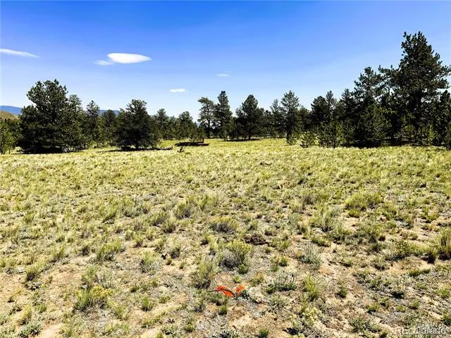 127 Boulder Road Hartsel, CO 80449