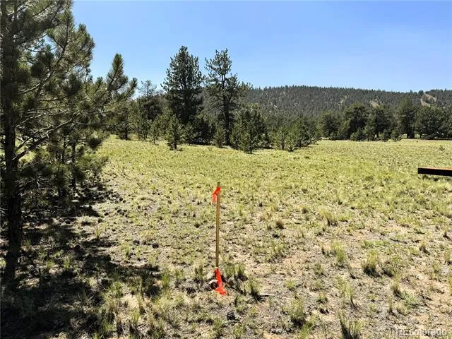127 Boulder Road Hartsel, CO 80449