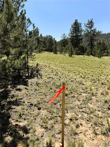 127 Boulder Road Hartsel, CO 80449