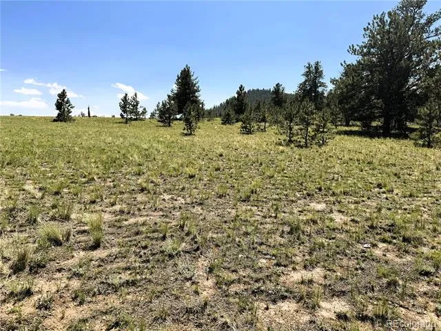 127 Boulder Road Hartsel, CO 80449