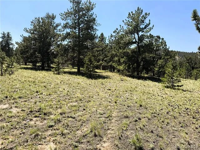 127 Boulder Road Hartsel, CO 80449