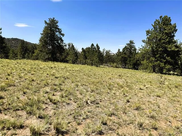 127 Boulder Road Hartsel, CO 80449