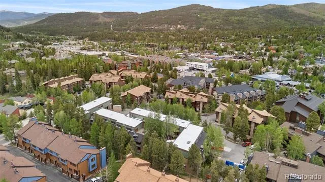 465 Four Oclock Road #223 Breckenridge, CO 80424