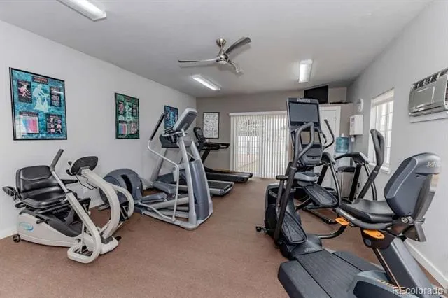 803 Sunchase Drive Fort Collins, CO 80524