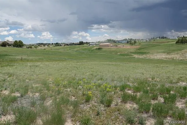 3131 Antelope Ridge Trail Parker, CO 80138