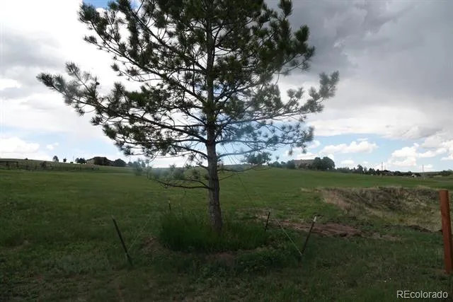 3131 Antelope Ridge Trail Parker, CO 80138
