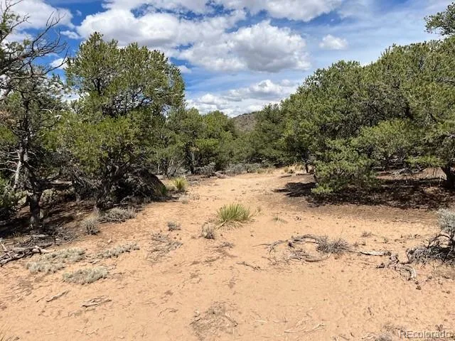 Lot 8 Coyote Court San Luis, CO 81152