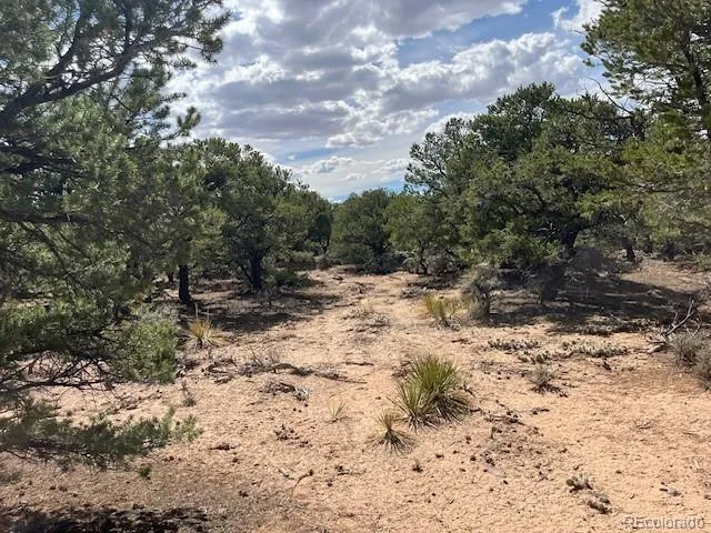 Lot 8 Coyote Court San Luis, CO 81152