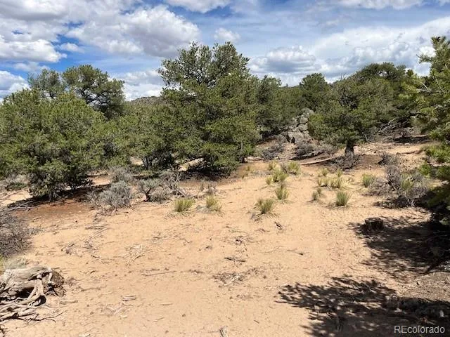 Lot 8 Coyote Court San Luis, CO 81152