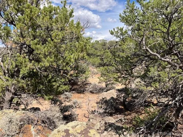 Lot 8 Coyote Court San Luis, CO 81152
