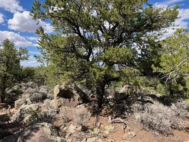 Lot 8 Coyote Court San Luis, CO 81152
