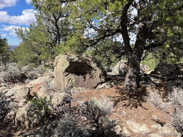 Lot 8 Coyote Court San Luis, CO 81152
