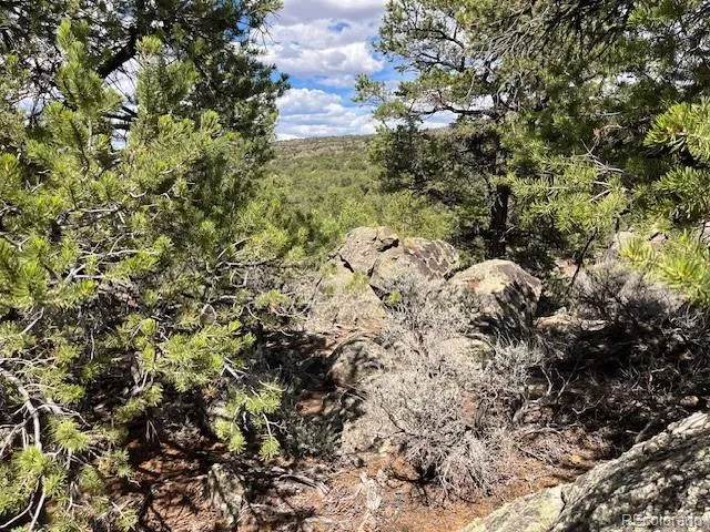 Lot 8 Coyote Court San Luis, CO 81152