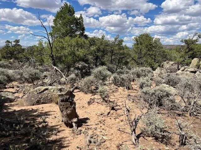 Lot 8 Coyote Court San Luis, CO 81152