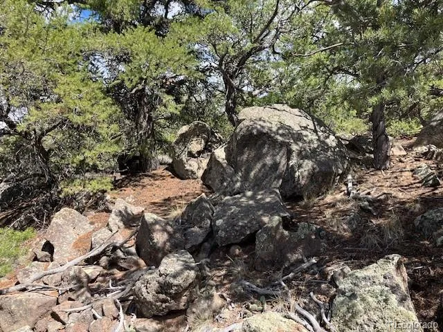 Lot 8 Coyote Court San Luis, CO 81152
