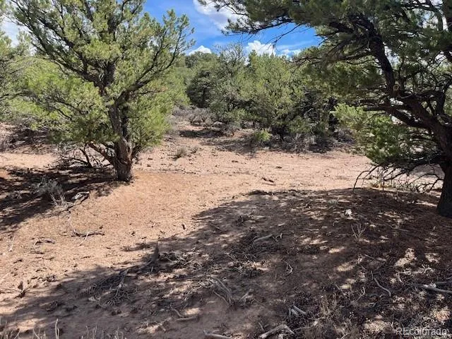 Lot 8 Coyote Court San Luis, CO 81152