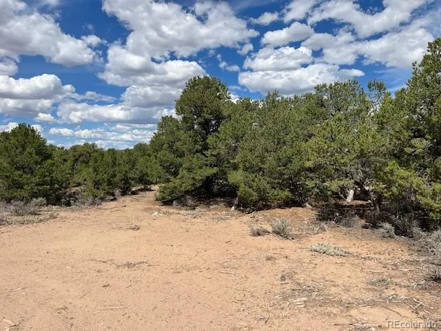 Lot 8 Coyote Court San Luis, CO 81152